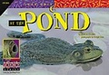 Cover: At the Pond - Creative Teaching Press