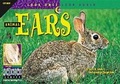 Cover: Animal Ears - Creative Teaching Press
