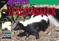 Cover: Animal Feathers & Fur - Creative Teaching Press