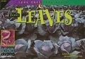 Cover: Look Once, Look Again: Plant Leaves - Creative Teaching Press