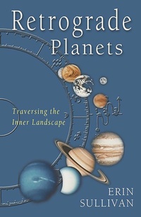 Enlarge image Cover: Retrograde Planets - Weiser Books