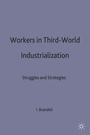 Cover: Workers in Third-World Industrialization - Palgrave Macmillan