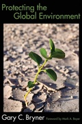Cover: Protecting the Global Environment - Routledge