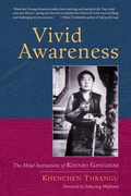 Cover: Vivid Awareness - Shambhala Publications Inc