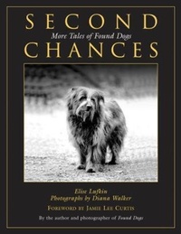Enlarge image Cover: Second Chances - The Lyons Press
