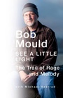 Cover: See a Little Light - Little, Brown and Company