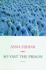 Cover: So Vast The Prison - Seven Stories Press,U.S.
