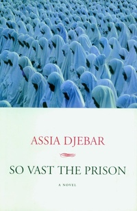 Enlarge image Cover: So Vast The Prison - Seven Stories Press,U.S.