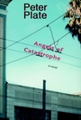 Cover: The Angels Of Catastrophe - Seven Stories Press,U.S.