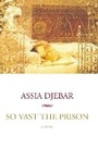 Cover: So Vast The Prison - Seven Stories Press,U.S.
