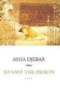 Cover: So Vast The Prison - Seven Stories Press,U.S.