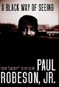 Cover: A Black Way Of Seeing - Seven Stories Press,U.S.