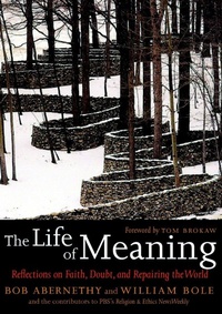 Enlarge image Cover: The Life of Meaning - Seven Stories Press,U.S.