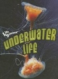 Cover: Underwater Life - Av2 by Weigl