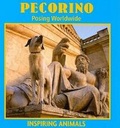 Cover: Pecorino - Av2 by Weigl