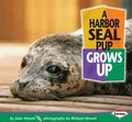 Cover: A Harbor Seal Pup Grows Up - Carolrhoda Books