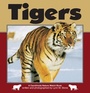 Cover: Tigers - Carolrhoda Books