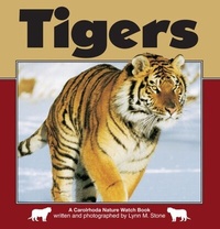 Enlarge image Cover: Tigers - Carolrhoda Books