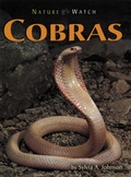 Cover: Cobras - Lerner Publishing Group