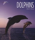 Cover: Dolphins - Creative Education