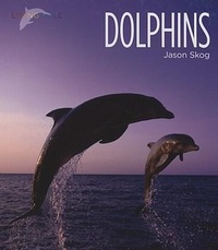 Enlarge image Cover: Dolphins - Creative Education