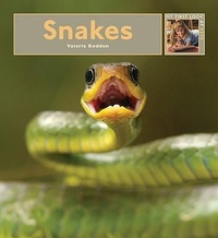 Abbildung von: Snakes - Creative Education