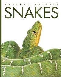 Abbildung von: Snakes - Creative Education