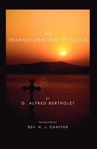 Enlarge image Cover: The Transmigration of Souls - Wipf & Stock Publishers