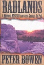 Cover: The Science of UFOs - St. Martin's Press