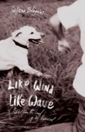 Cover: Like Wind, Like Wave - Other Press