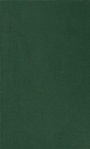 Cover: Comparative Constitutional Engineering - Palgrave Macmillan