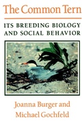 Cover: The Common Tern - iUniverse