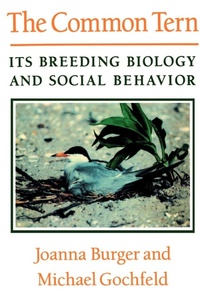 Enlarge image Cover: The Common Tern - iUniverse
