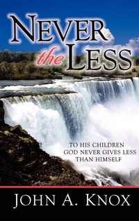 Enlarge image Cover: Never the Less - Xulon Press