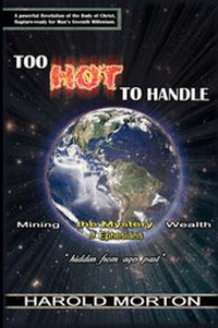 Abbildung von: Too Hot to Handle - Xulon Press