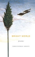 Cover: Bright World - Lantern Books,US