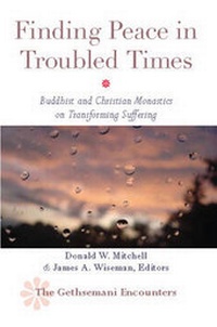 Enlarge image Cover: Finding Peace in Troubled Times - Lantern Books,US