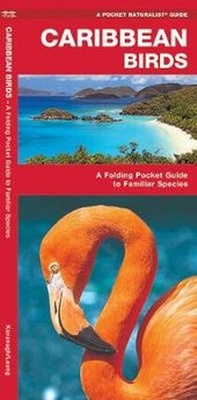 Enlarge image Cover: Caribbean Birds - Waterford Press Ltd