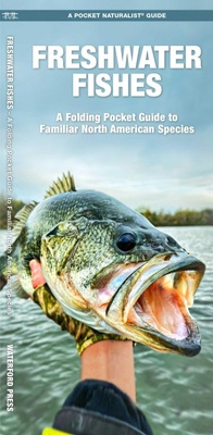 Enlarge image Cover: Freshwater Fishes - Waterford Press Ltd