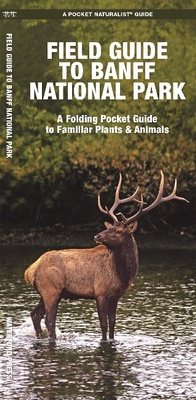 Abbildung von: Banff National Park, Field Guide to - Waterford Press Ltd