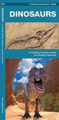 Enlarge image Cover: Dinosaurs - Waterford Press Ltd