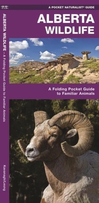 Abbildung von: Alberta Wildlife - Waterford Press Ltd