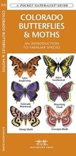 Cover: Colorado Butterflies & Moths - Waterford Press Ltd