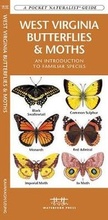 Cover: West Virginia Butterflies & Moths - Waterford Press Ltd