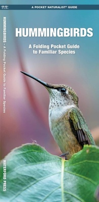 Enlarge image Cover: Hummingbirds - Waterford Press Ltd
