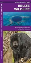 Cover: Belize Wildlife - Waterford Press Ltd