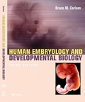 Bild: Human Embryology and Developmental Biology - Mosby