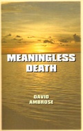 Abbildung von: Meaningless Death - Publish America
