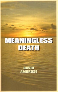 Abbildung von: Meaningless Death - Publish America