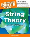 Cover: Complete Idiot's Guide to String Theory - Alpha Books